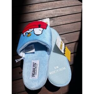 Peanuts Children's Size Small Medium Snoopy & Woodstock House Shoes Slippers NWT